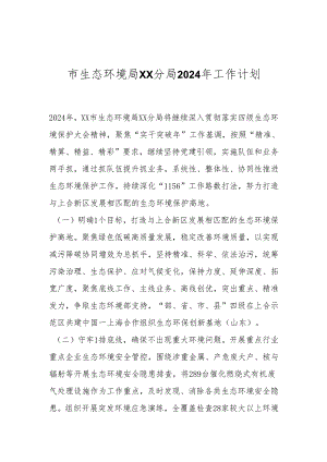 市生态环境局XX分局2024年工作计划.docx