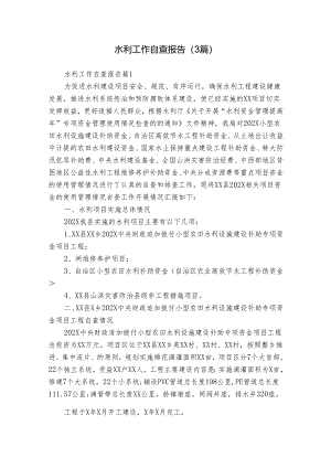水利工作自查报告（3篇）.docx
