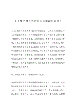 某乡镇党群路线教育实践活动自查报告.docx