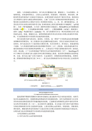 斑马鱼在药物毒理学评估中应用及机制的研究进展.docx