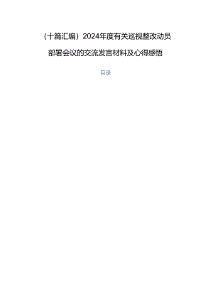 （十篇汇编）2024年度有关巡视整改动员部署会议的交流发言材料及心得感悟.docx