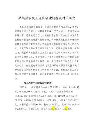 某某县农民工返乡创业问题及对策研究.docx