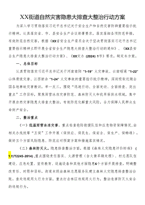 街道自然灾害隐患大排查大整治行动方案.docx