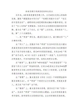 街道党建引领典型经验特色亮点.docx