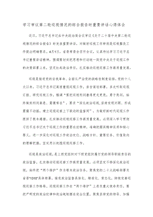 学习审议第二轮巡视情况的综合报告时重要讲话心得体会.docx