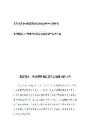贯彻落实中央纪委国家监委会议精神心得体会和学习贯彻二十届中央纪委三次全会精神心得体会.docx