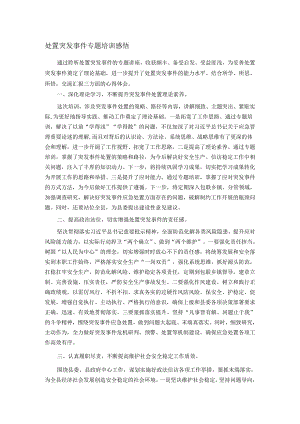 处置突发事件专题培训感悟.docx