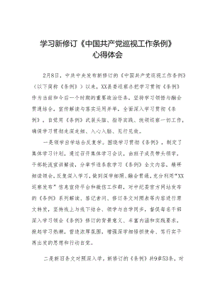 学习2024新修订中国共产党巡视工作条例心得体会8篇.docx