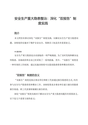 安全生产重大隐患整治：深化“双报告”制度实践.docx