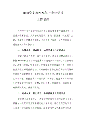 卫生院党支部2024年上半年党建工作总结.docx