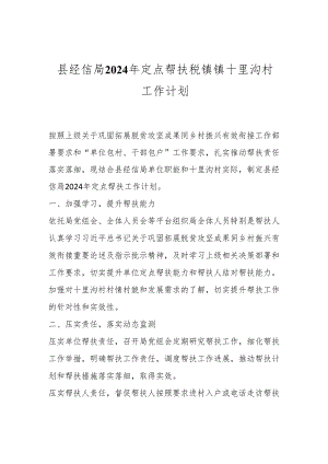县经信局2024年定点帮扶税镇镇十里沟村工作计划.docx