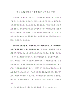 学习山东考察系列重要指示心得体会发言.docx