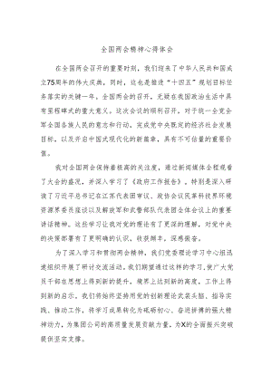 全国两会精神心得体会.docx