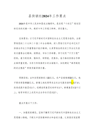 县供销社2024年工作要点.docx