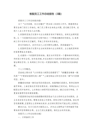 客服员工工作总结报告（3篇）.docx