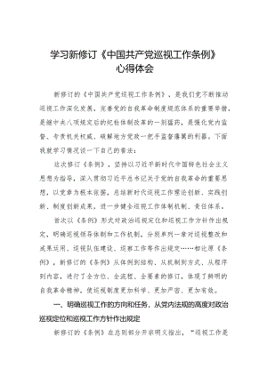 领导干部学习2024版新修订《中国共产党巡视工作条例》心得体会十九篇.docx