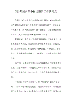 X县开展食品小作坊整治工作新亮点.docx