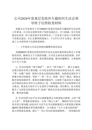 公司2024年度基层党组织专题组织生活会领导班子对照检查材料.docx