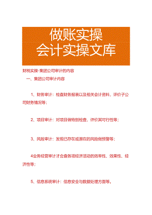财税实操-集团公司审计的内容.docx