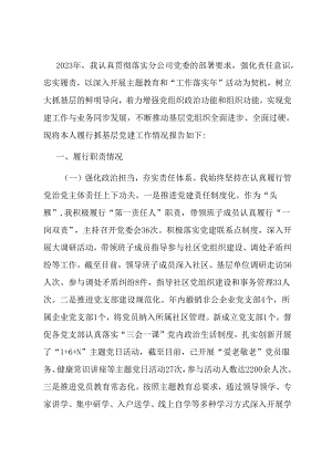 基层党组织书记抓党建工作述职报告.docx