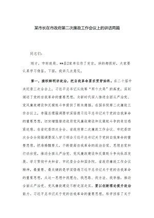 某市长在市政府第二次廉政工作会议上的讲话两篇.docx