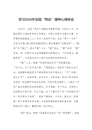 2024年全国两会心得体会四十二篇.docx