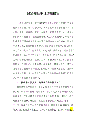 经济责任审计述职报告.docx
