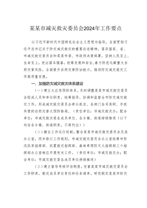 某某市减灾救灾委员会2024年工作要点.docx