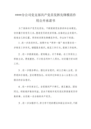 共产党员公开承诺书.docx