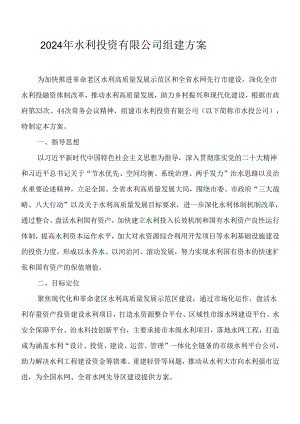 2024年水利投资有限公司组建方案.docx