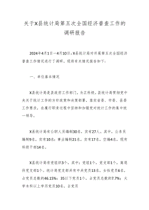关于X县统计局第五次全国经济普查工作的调研报告.docx