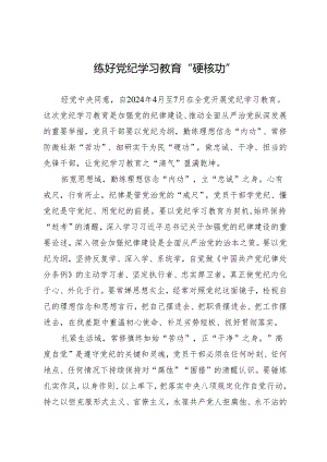 学习交流：20240411练好知灼内参（党纪）“硬核功”.docx