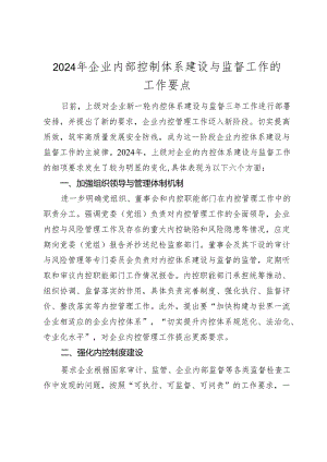 2024年企业内部控制体系建设与监督工作的工作要点（公司内控）2025.docx