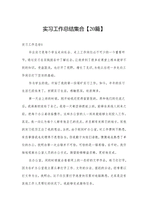 实习工作总结集合【20篇】.docx