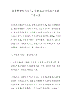 集中整治形式主义、官僚主义领导班子整改工作方案.docx