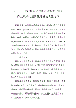 关于进一步深化非金属矿产资源整合推进产业规模化集约化开发的实施方案.docx
