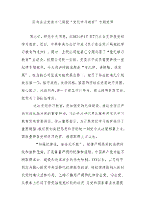 国有企业党委书记讲授“党纪学习教育”专题党课.docx