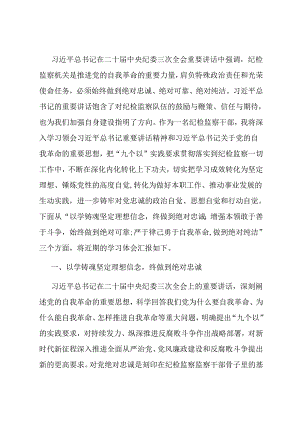 纪检监察干部学习二十届中央纪委三次全会精神发言材料.docx