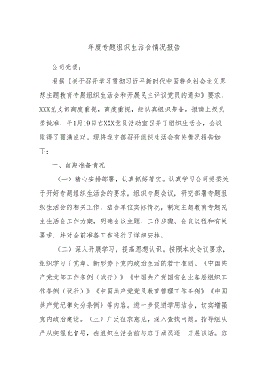 年度专题组织生活会情况报告.docx
