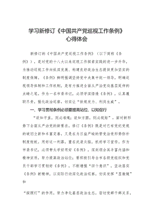 2024版新修订中国共产党巡视工作条例的学习心得体会8篇.docx