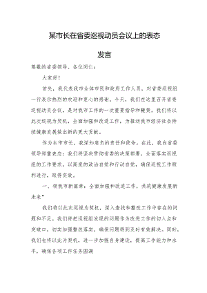 某市长在省委巡视动员会议上的表态发言.docx