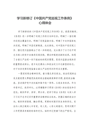 领导干部学习2024版新修订《中国共产党巡视工作条例》心得体会四篇.docx