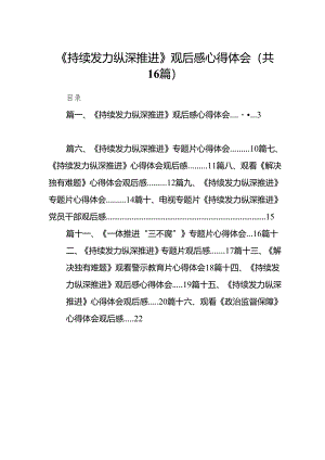 《持续发力纵深推进》观后感心得体会范文16篇（精选版）.docx