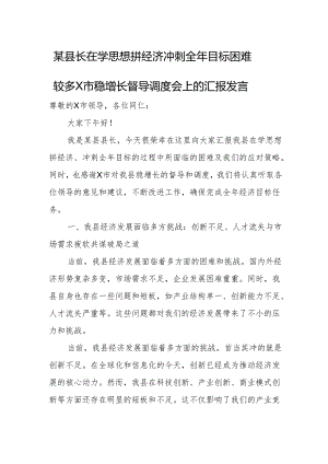 某县长在学思想拼经济冲刺全年目标困难较多X市稳增长督导调度会上的汇报发言.docx