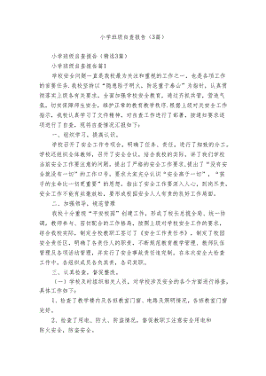 小学班级自查报告（3篇）.docx