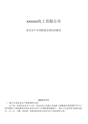 安全生产专项检查自查报告模板.docx