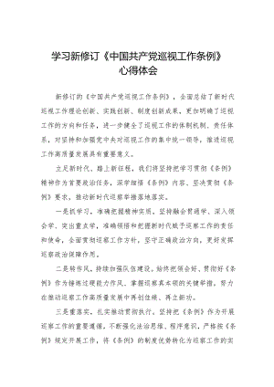 纪检巡察干部学习2024版新修订中国共产党巡视工作条例的心得体会8篇.docx