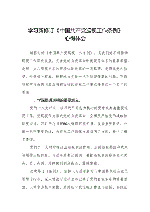 乡镇干部学习2024新修订《中国共产党巡视工作条例》心得体会十九篇.docx