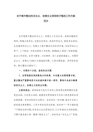 关于集中整治形式主义、官僚主义领导班子整改工作方案范文.docx