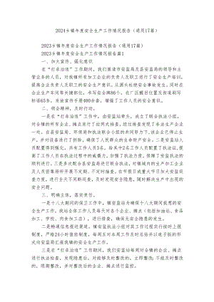 2024乡镇年度安全生产工作情况报告（通用17篇）.docx